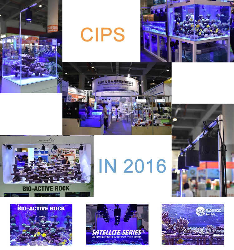 CIPS