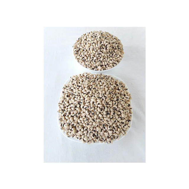 
Black eye bean MC & HPS 