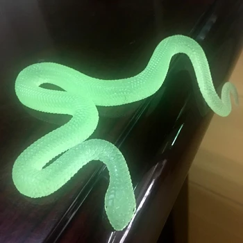 the magic snake toy