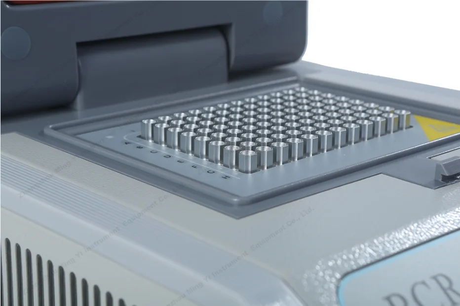 Fast Detection Animal Gender Real Time PCR Test Machine for PCR Test Kit