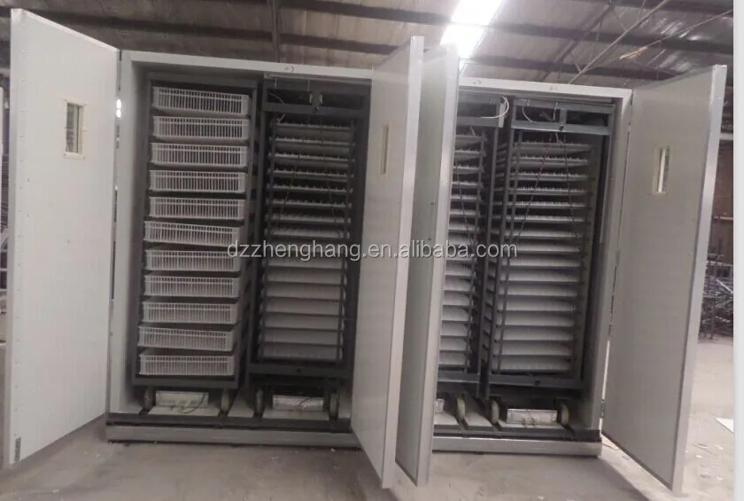 22528 incubator (15).jpg