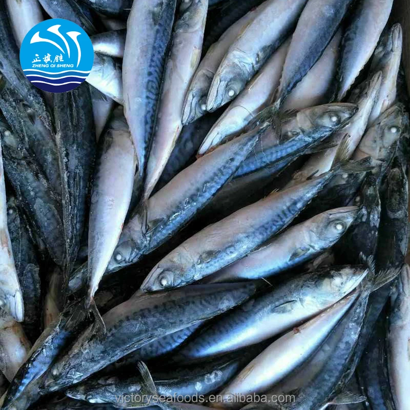 
Frozen Seafood Mackerel Fish  (60682284501)
