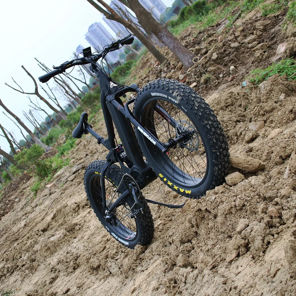 Bafang Mid Drive Internal Gear Hub Bicycle/fat Tire Electric Snow Bike