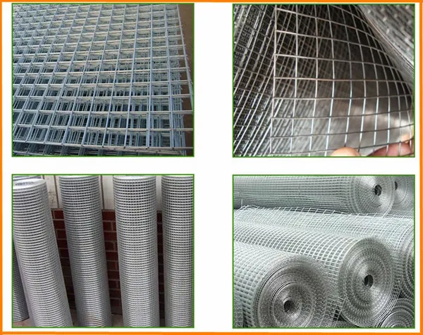 Cheap galvanized and PVC coated welded metal building wire mesh 19 gauge galvanized welded wire mesh