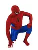 Spiderman Costume - High Definition