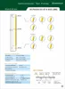 Double ended semiconductor spring test pogo pin for pitch 0.45mm