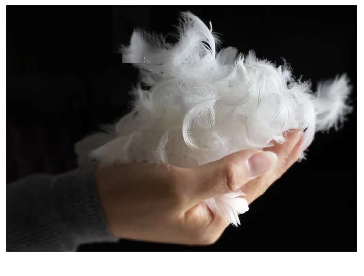 wholesale 18x18 45x45 100% cotton altern luxury plain white square down feather throw pillow insert