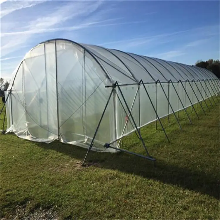 Plastic Film Cheap Greenhouses Buy High Quality Greenhouse,Tunnel