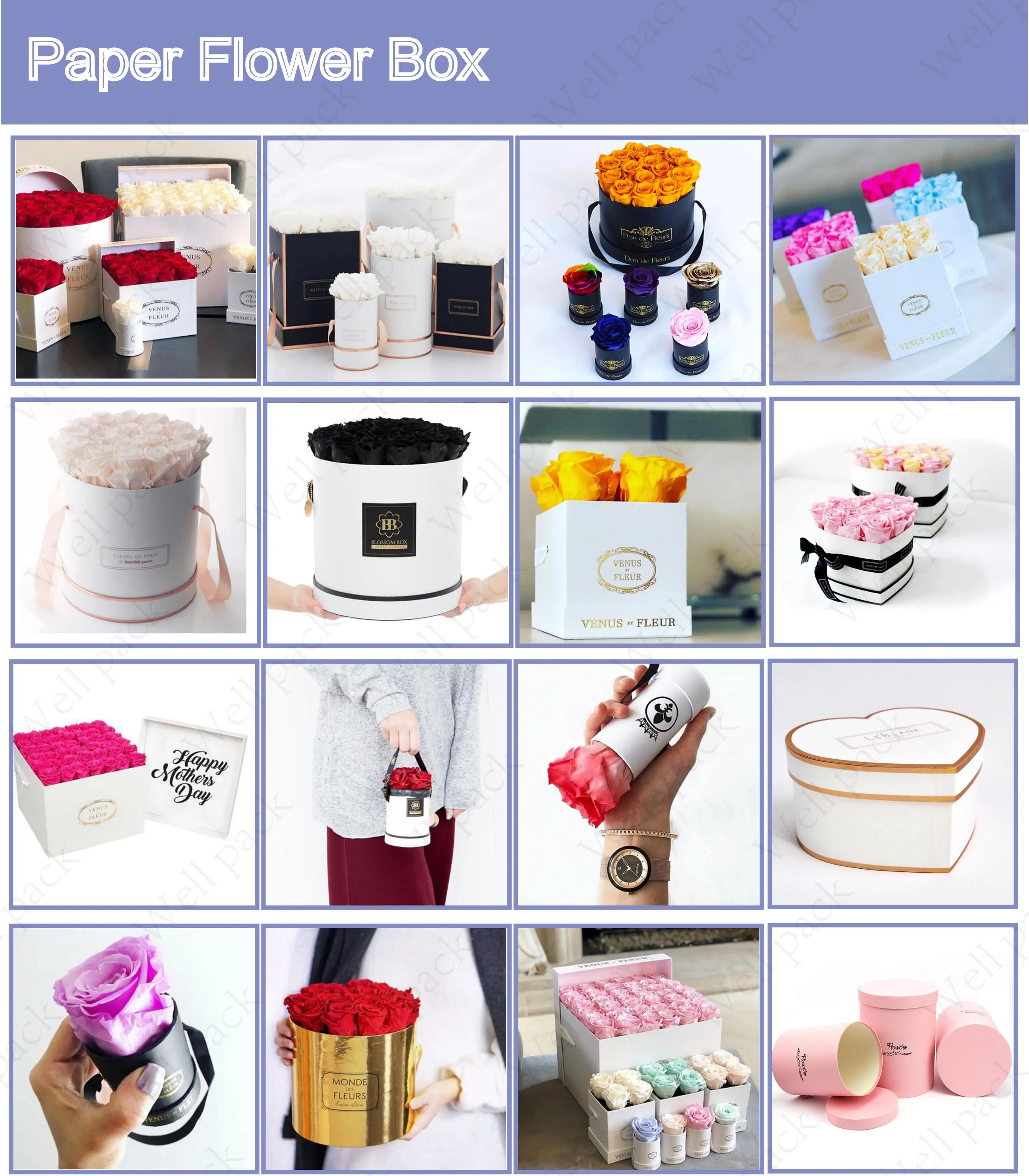 paper flower box_00.jpg