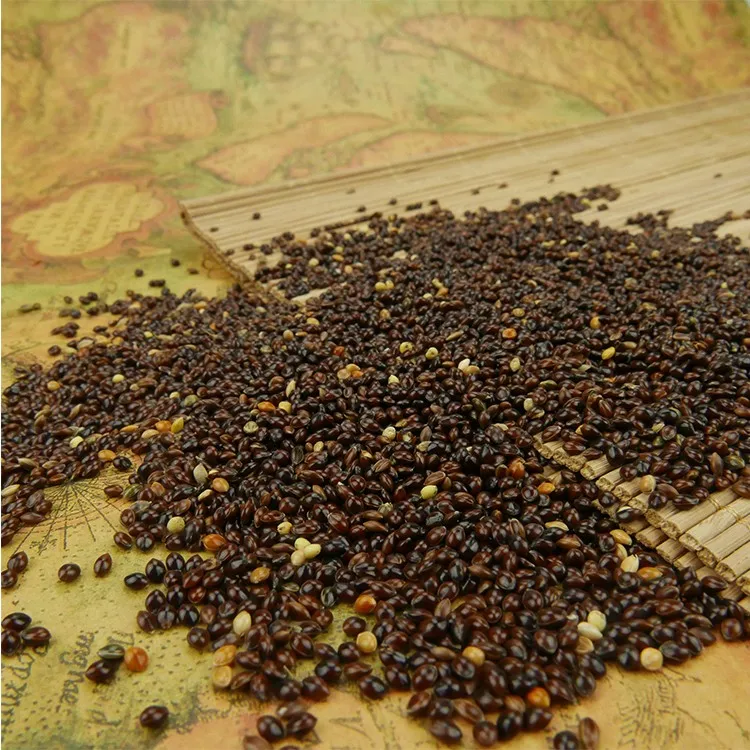 中国黑黍子带高品质