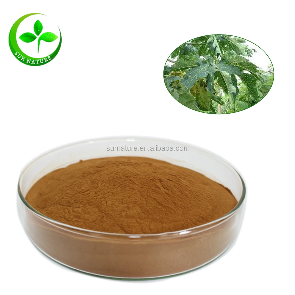 Factory Wholesale Dried Papaya Leaf Extract Powder Buy Papaya Leaf