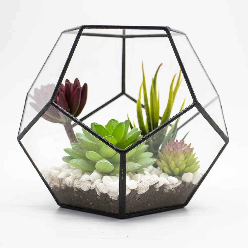 

Modern Planter for Indoor Gardening Dodecahedron Geometric Handmade Glass Terrarium, Clear