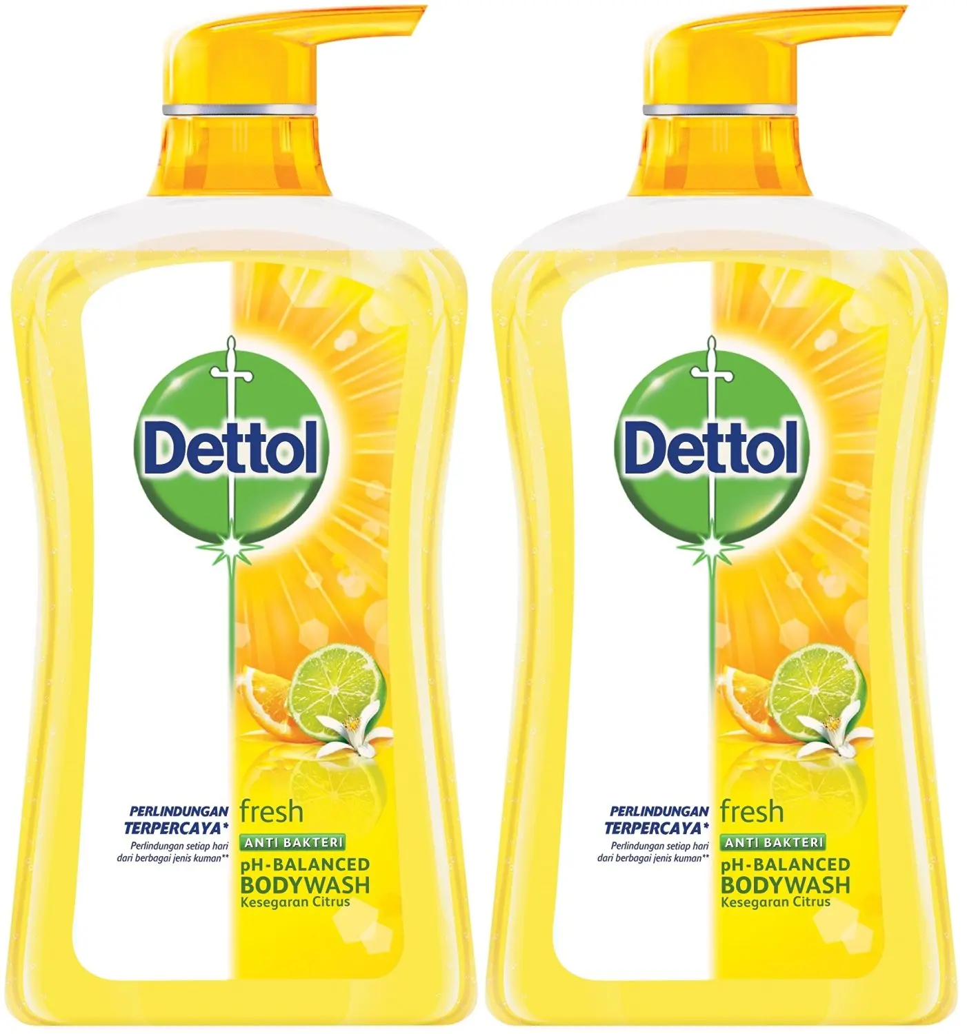 / 250/ ML / No Touch Aloe Vera/ 6/ X Dettol sapone per le mani nachfuellung/