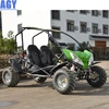 AGY new style cheap buggy