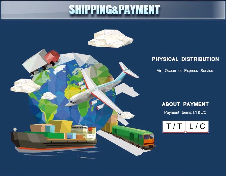 Galvanised 8x5 Car Tandem Box Trailer with Cage