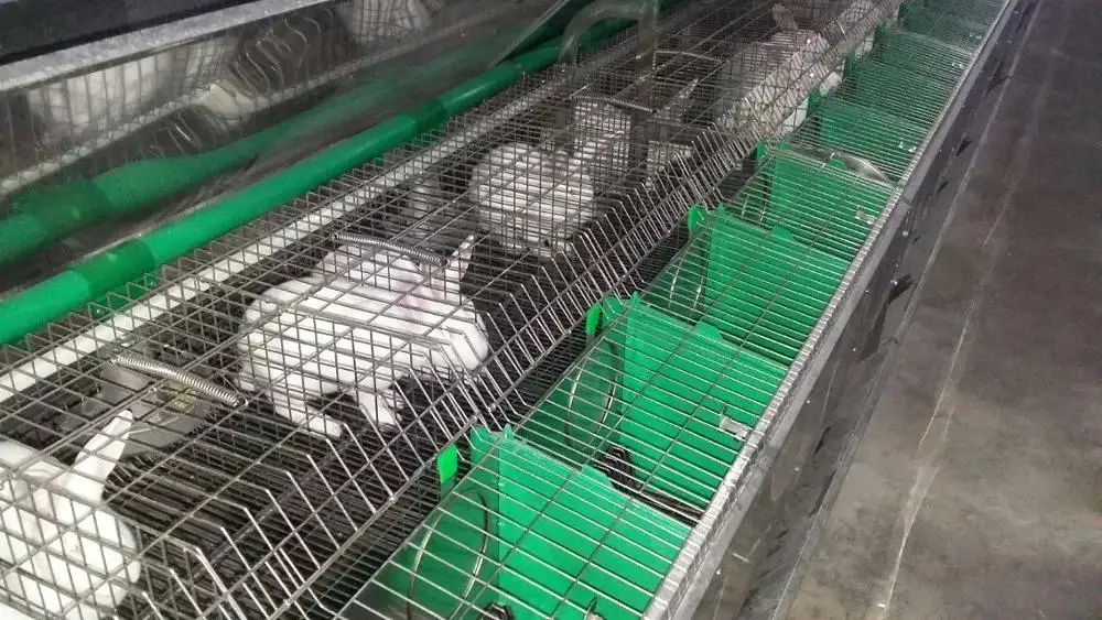 60*60cm New Pp White Color Rabbit Slat Floor Buy Rabbit Plastic Slat