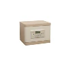Safewell BGY-D-40 Furniture Safe Box for home