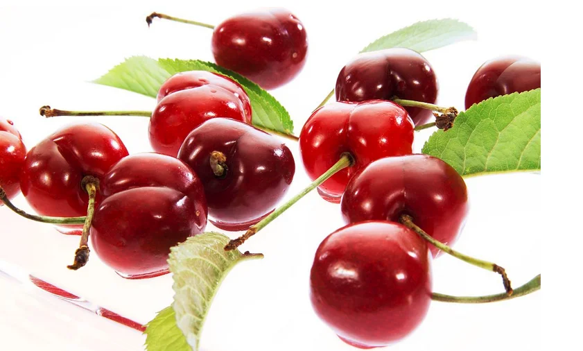 100% natural tart cherry extract powder