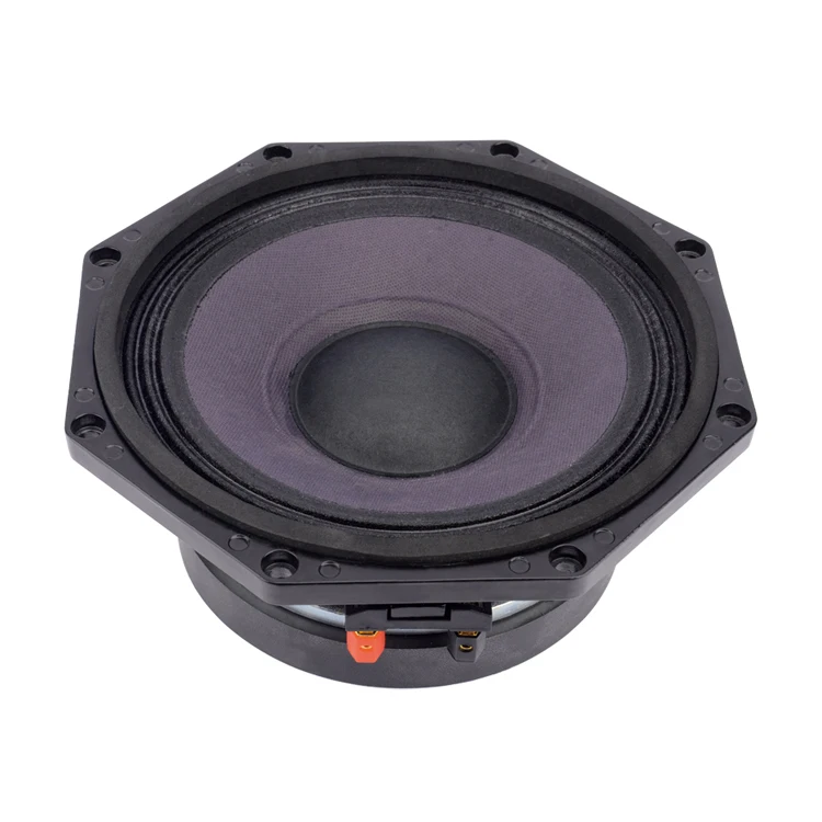 bnc 10 inch speaker