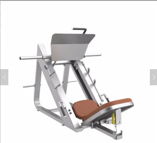 

Gym Equipment Leg Press Machine, Optional