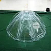 /product-detail/hot-sale-ladies-fashion-inflatable-advertising-styling-transparent-inflatable-umbrella-62044822292.html