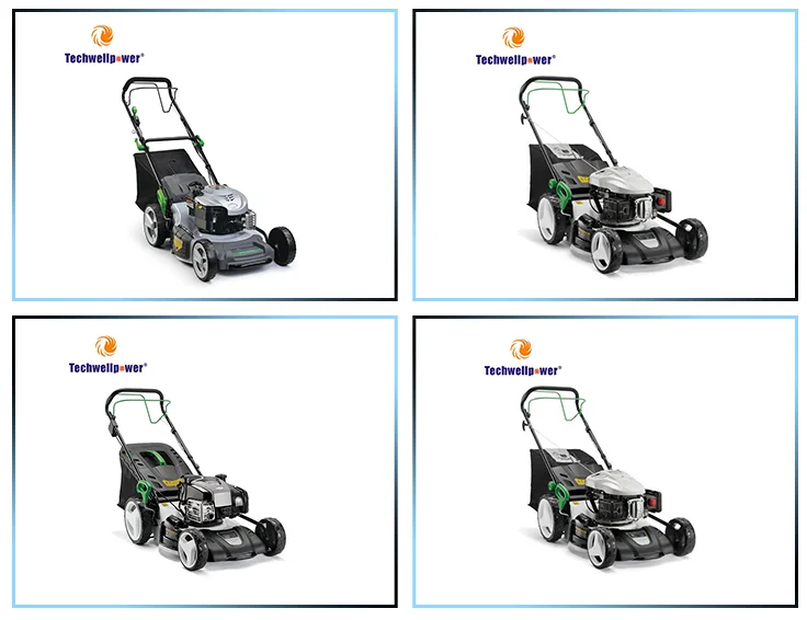 paste-pic-dp_uuid_c6ma5