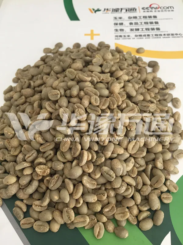 clean coffee bean 1 .jpg