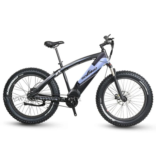 1000w bike