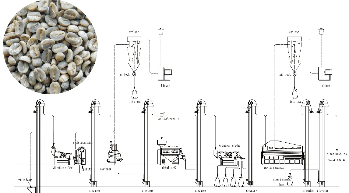 Coffee Beans Cleaning  1.png