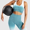 High Waisted Seamless Leggings Gradient Shade Gym Apparel Fitness & Yoga Wear Set