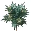 Glitter Fabric Poinsettia Single Stem Decorative Christmas Tree