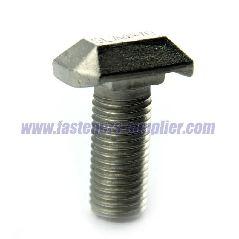 
Stainless Steel Square Neck T-head Bolts 