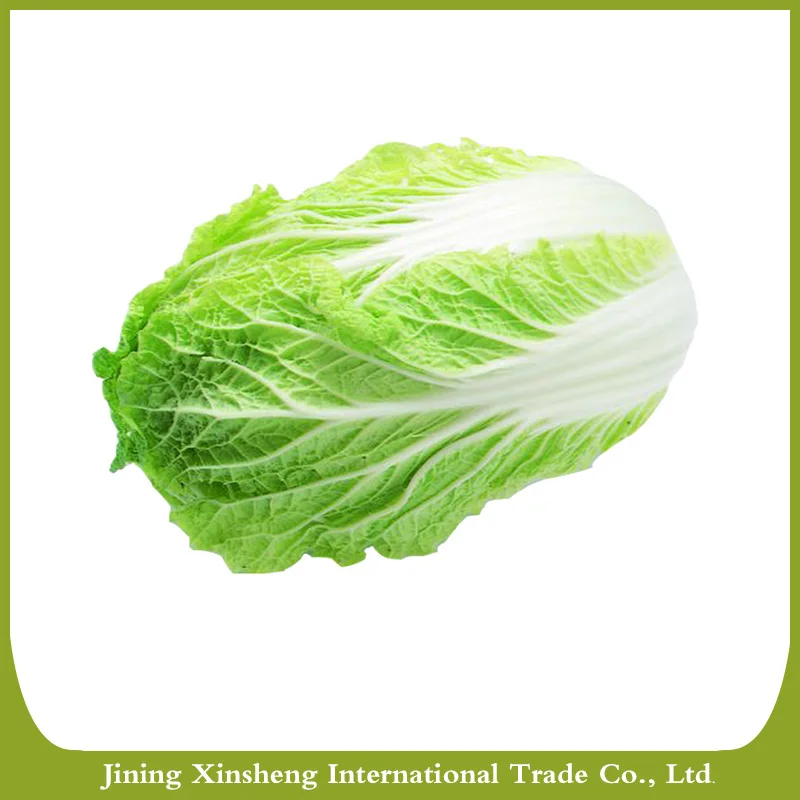 
2020 new crop fresh chinese celery cabbage 