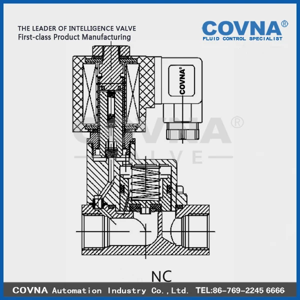 Piloted diaphragm 2 inch water solenoid valve 220v