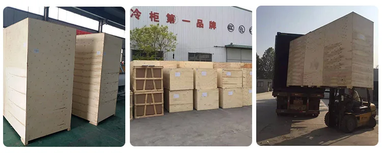 Condensing Unit, Monoblock, 220V, -25~8℃ - detail 26
