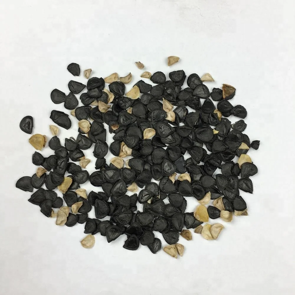 Agave Sisalana Rich In Hard Fibre Commercial Crop High Purity Sisal