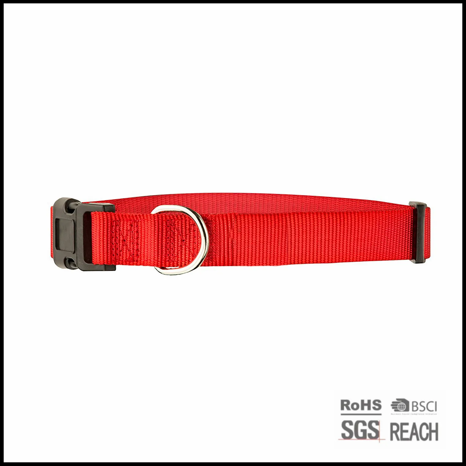 nylon dog collar (21)