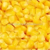 /product-detail/corn-kernel-in-brine-121605689.html