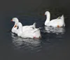 High Filling Power Wshed Natural Bulk White Duck Down Feathers