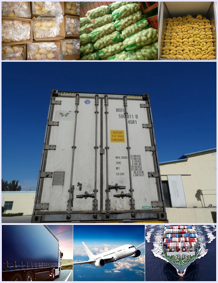 Fresh Holland Potato