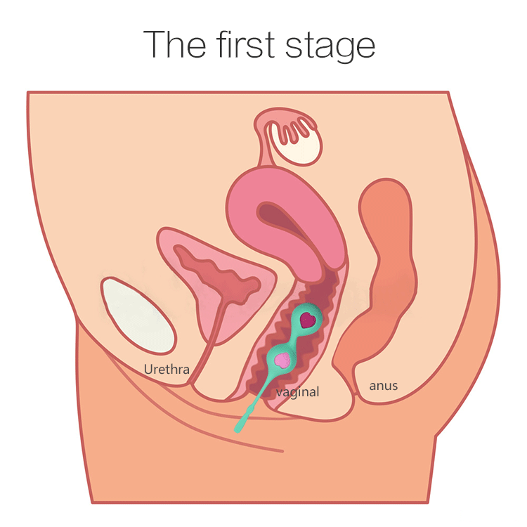 格尔球妇女振动器性阴道玩具硅胶运动智能爱球 - buy pussy vibrating