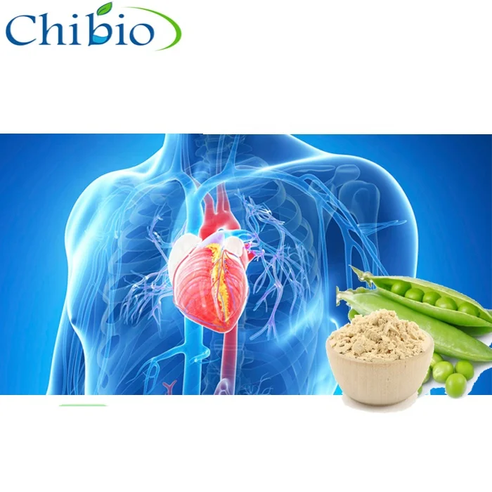 specifically, there&rsquo;s evidence that slower-digesting