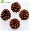 5CM Pine Cone Christmas Tree Ornament Hanging Decorations Hot design Christmas jumbo pinecone