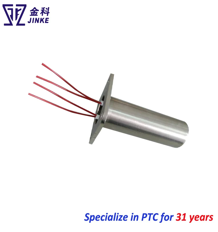 ptc for water heater 3.jpg