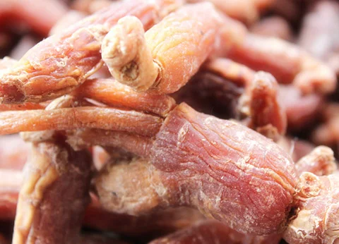 
High quality wholesale Organic red ginseng root 