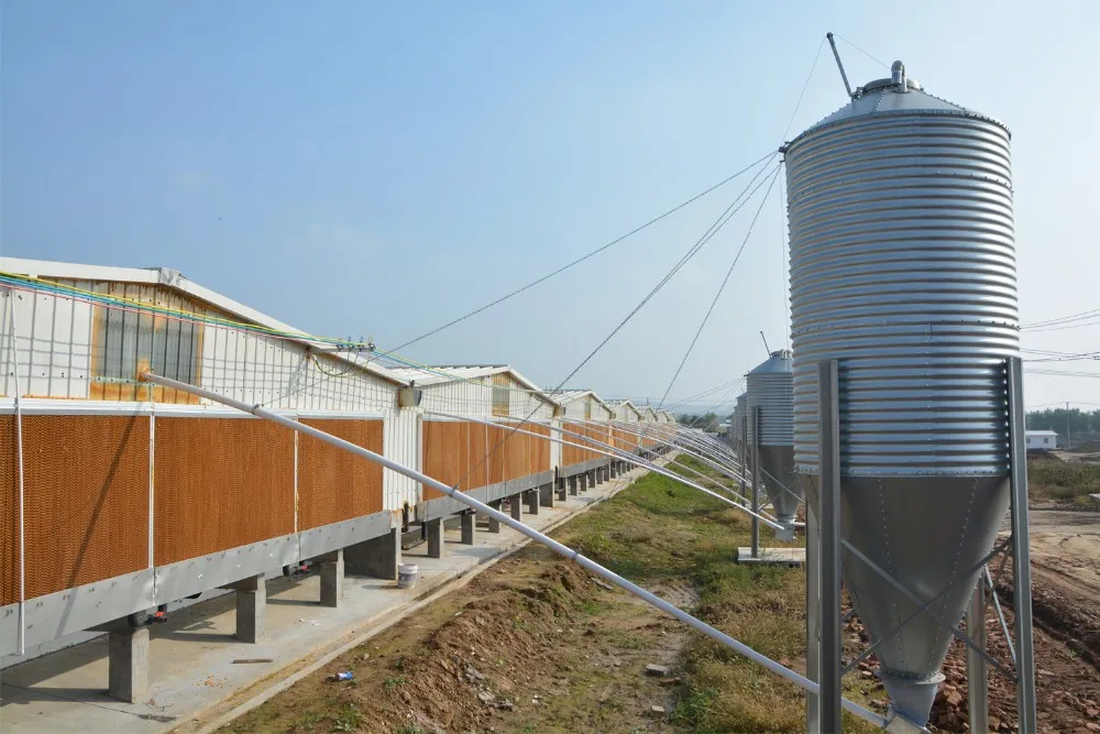 所有行业  农业 农用机械与设备  筒仓