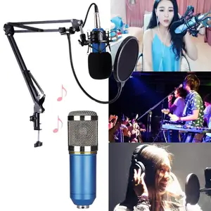 BM 800 Condenser Microphone Video Recording