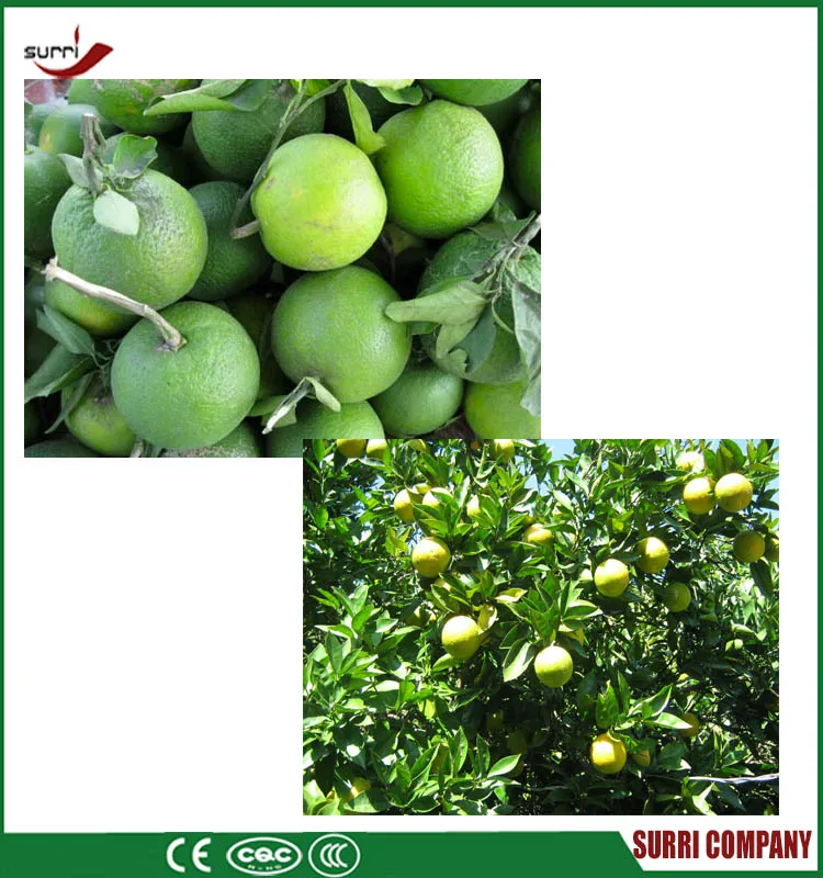 Malta Mosambi Juice Extractor Machine Buy Mosambi Juice Extractor