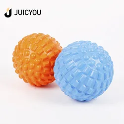 yoga wheel for balance