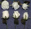 Foam Stem Rose, Foam Gardenia